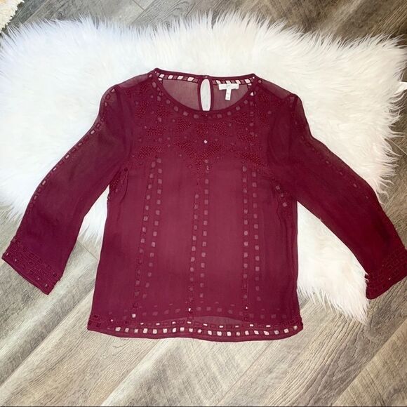 Joie Raisin Gaiane Embroidered Eyelet Blouse - Picture 8 of 11